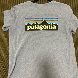 Patagonia Heather Blue Responsibili-Tee